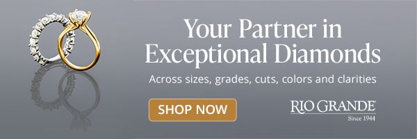 RGP00297-Rapaport- Newsbrief-Banner-v3